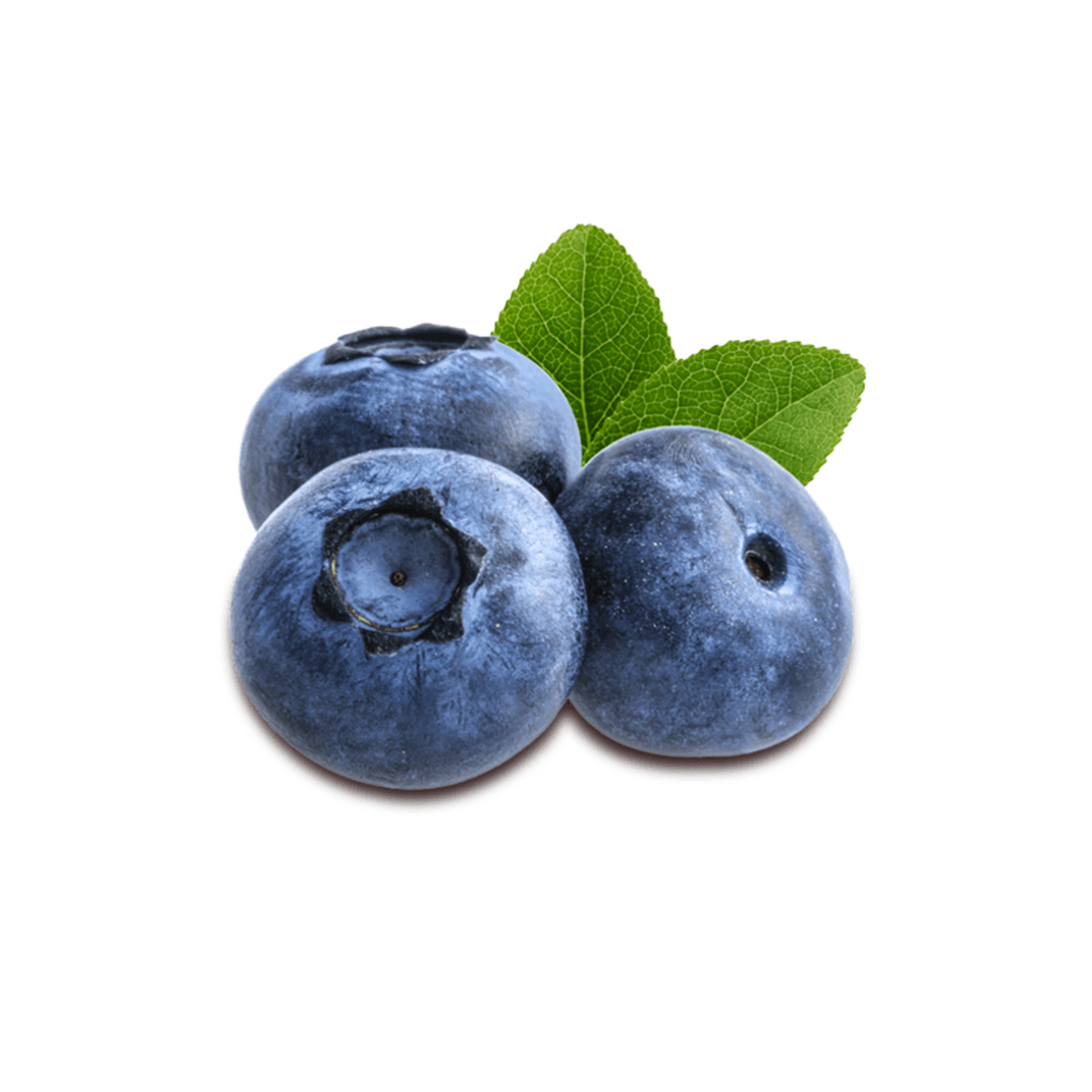 Blueberries