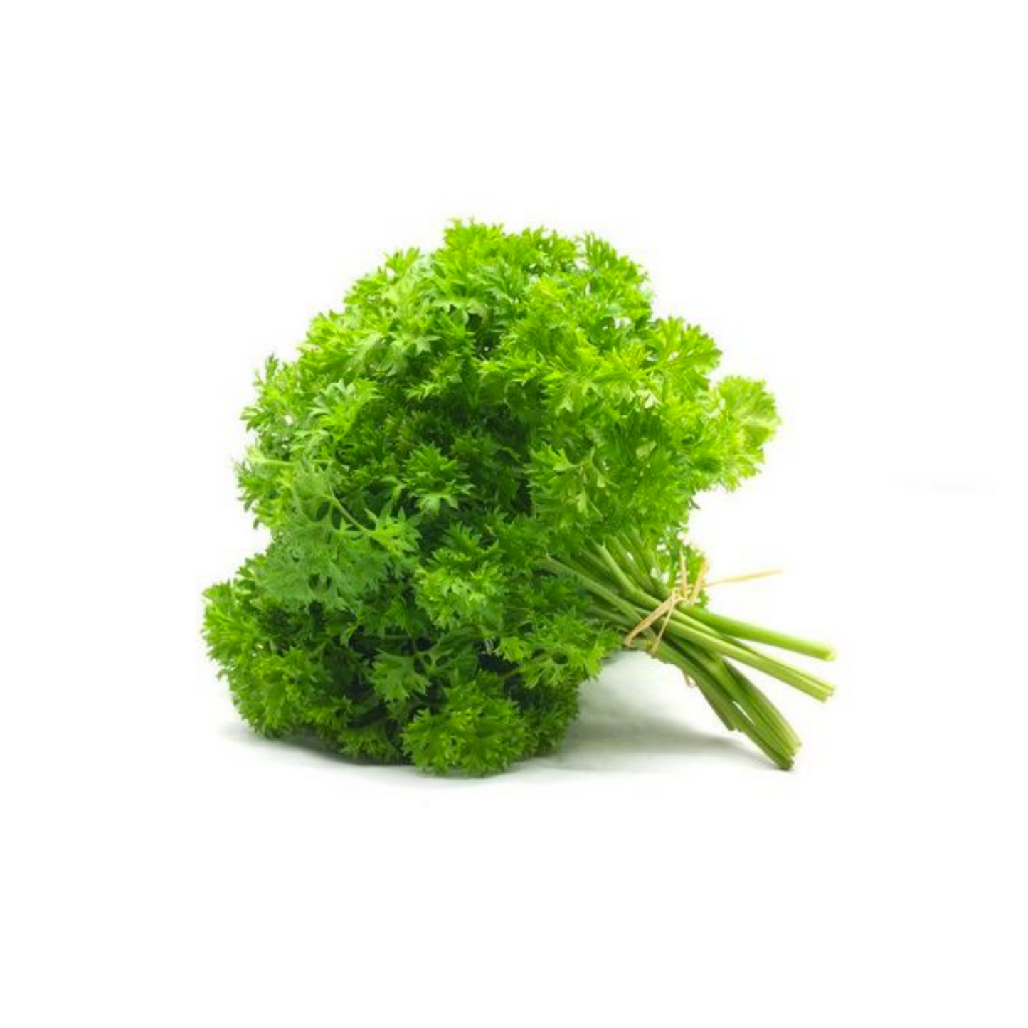 Parsley Curly