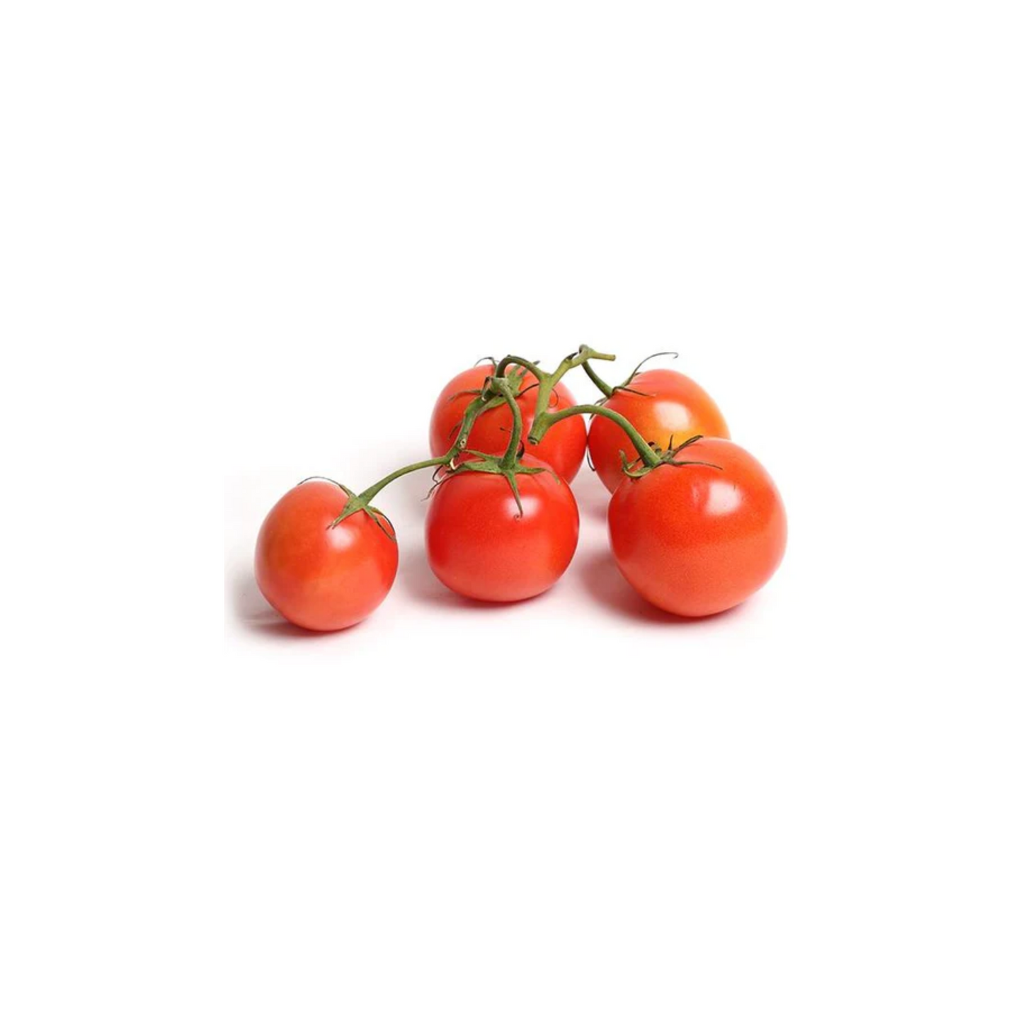 tomatoes