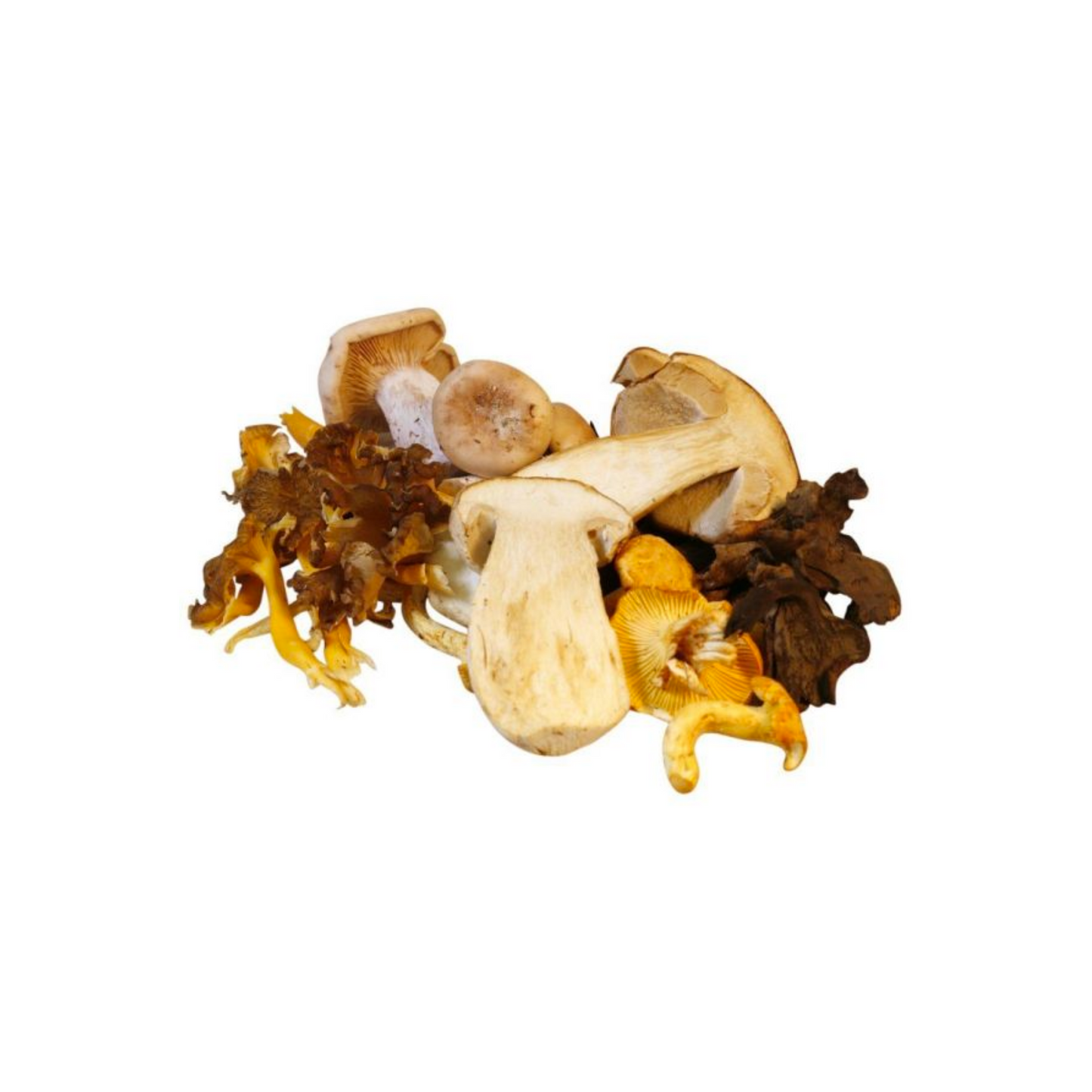 Mushroom -Wild- 500g