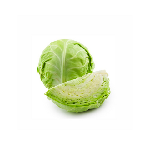 Cabbage- Green