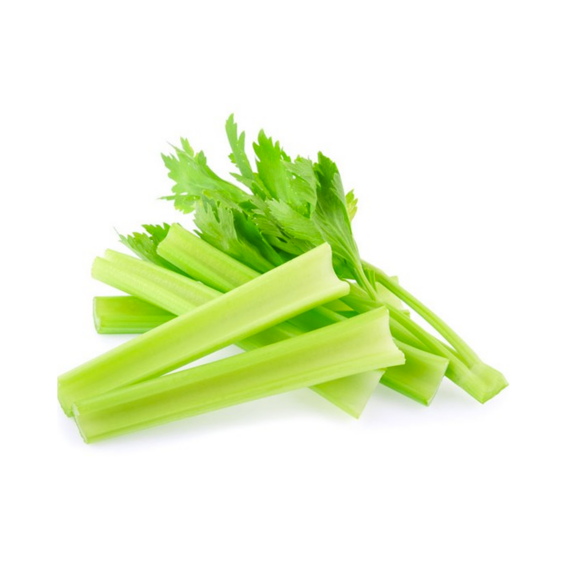 Fresh celery stalks lay on a white background. 
