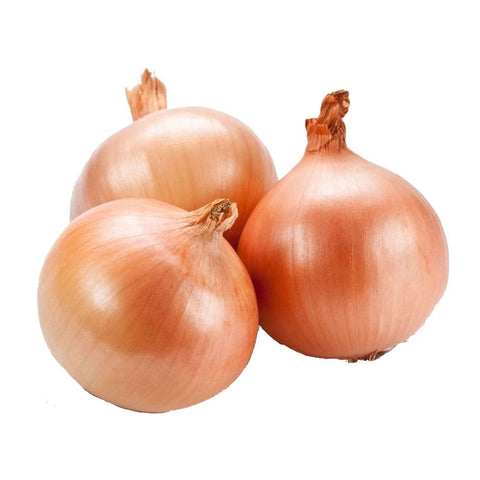 Onions English x 1 Kg
