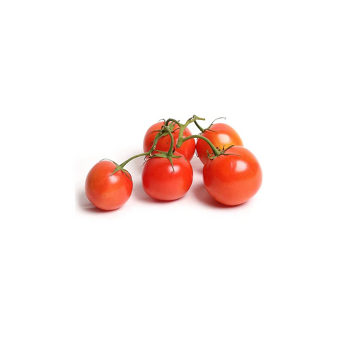 Tomatoes x 12